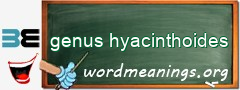 WordMeaning blackboard for genus hyacinthoides
